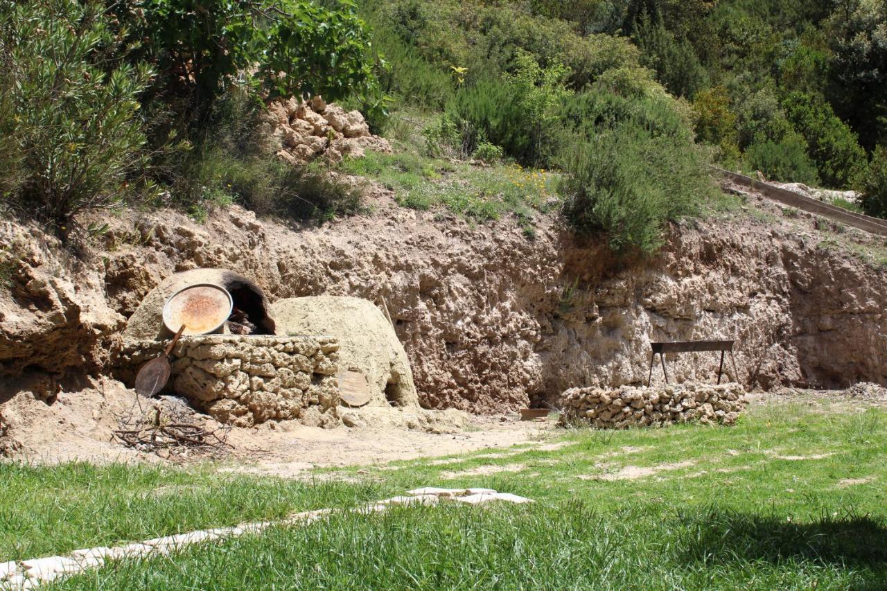 Caid Bou Malla Gite Skoura מראה חיצוני תמונה