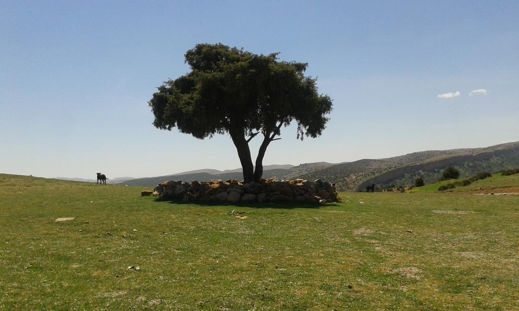 Caid Bou Malla Gite Skoura מראה חיצוני תמונה